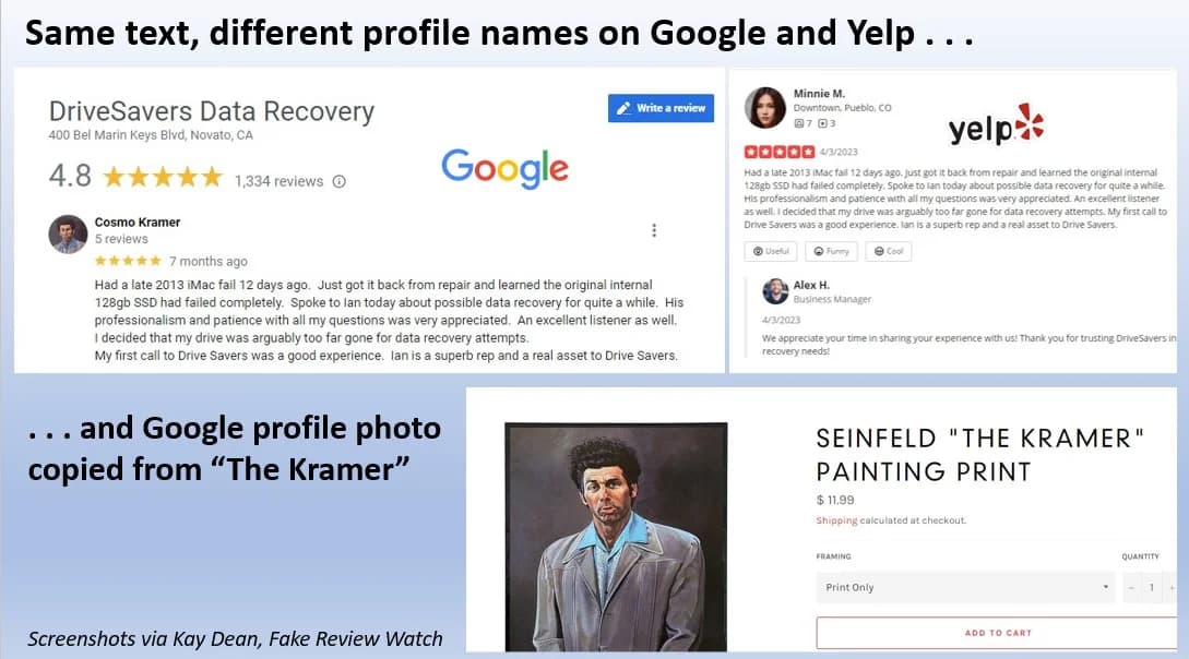 Screenshot: Kay Dean, FakeReviewWatch (DriveSavers cross-platform review duplication)